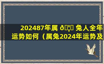 202487年属 🦍 兔人全年运势如何（属兔2024年运势及运程_2022年属兔人的全年运 🕷 势）